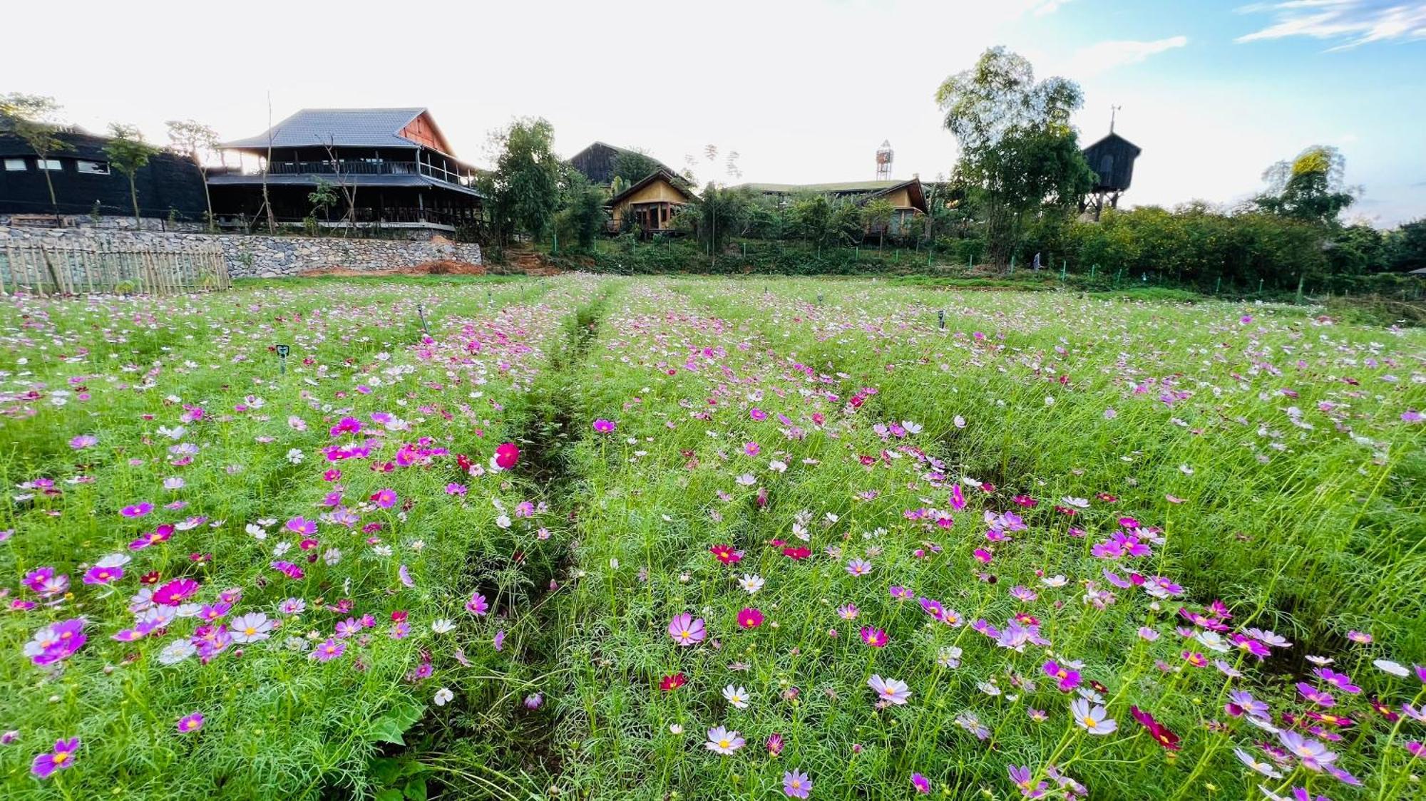 Satoyama Village Luong Son  외부 사진